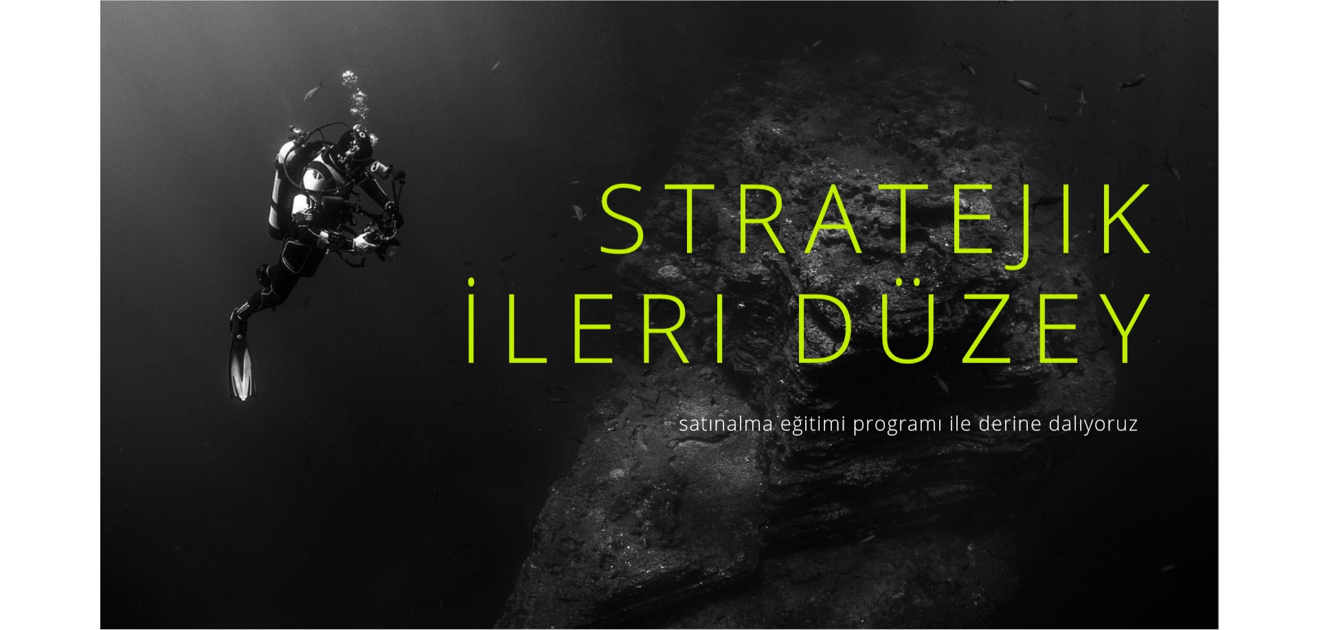 Stratejik ve İleri Düzey Satınalma Eğitim Programı